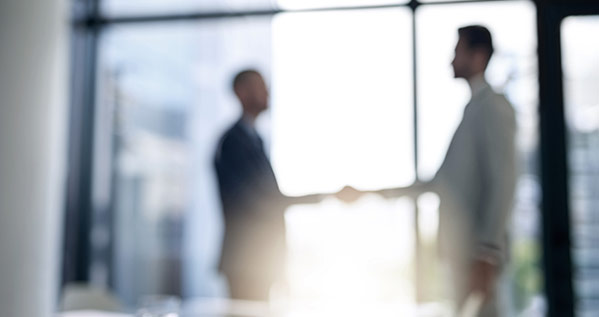 Betriebswirtschaftliche Beratung. Wirtschaftsprüfung. LTS.